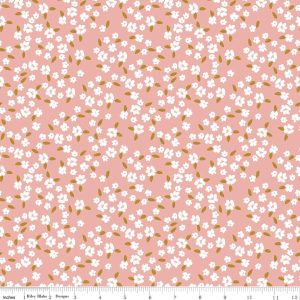 C18222-CORAL_media-1.jpg