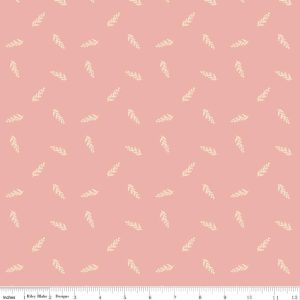 C18223-CORAL_media-1.jpg