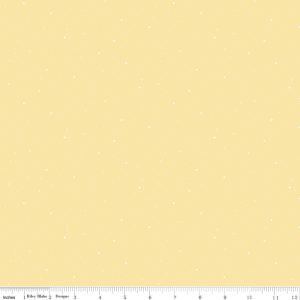 C640-SUNSHINE_media-1.jpg